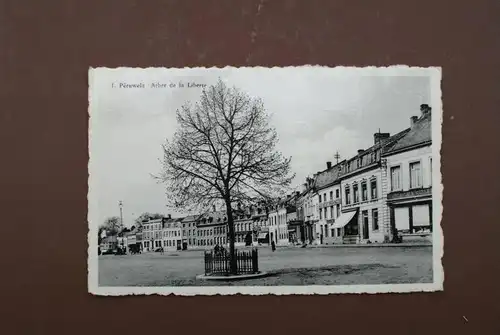 B 7600 PERUWELZ, Arbre de la Liberte, 1960