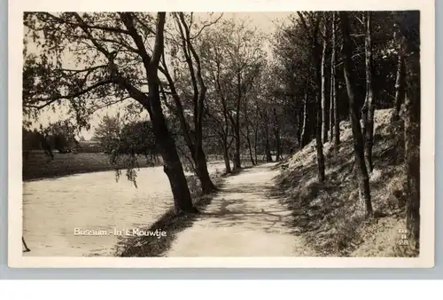 NOORD-HOLLAND - BUSSUM, In t' Mouwtje