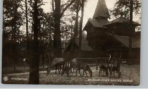 1000 BERLIN - TIERGARTEN, Zoo, Hirschgehege