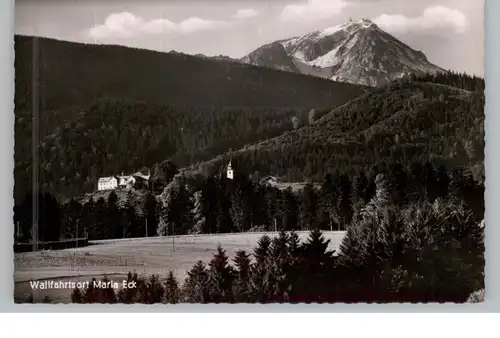 8227 SIEGSDORF - MARIA ECK, Blick auf den Wallfahrtsort