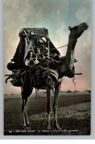 SUDAN - KASSALA Province, "On the Move", wife & children on a camel