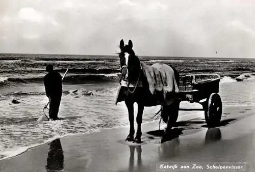 ZUID-HOLLAND - KATWIJK, Schelpenvisser