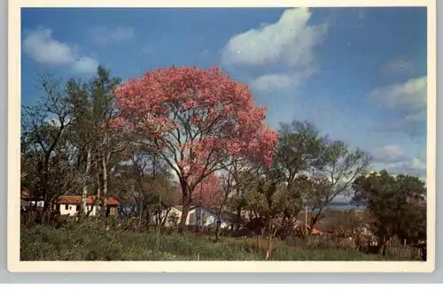 PARAGUAY, Suburbios de Encarnacion...