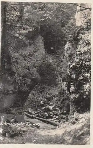 A 3184 TÜRNITZ, Falkenschlucht 1938