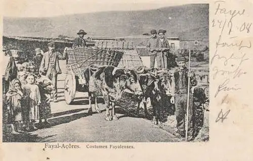 ACORES - HORTA / FAIAL, Costumes Fayalenses, 1908