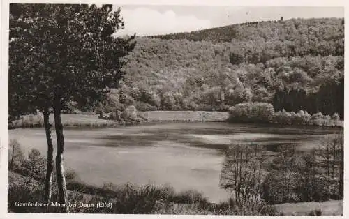 5568 DAUN, Gemündener Maar 1955, Verlag Scharbach