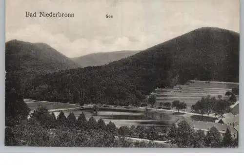 F 67110 BAD NIEDERBRONN / NIEDERBRONN LES BAINS, See