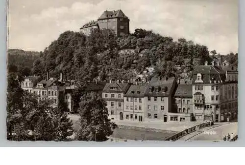 0-6600 GREIZ, Blick über die Weisse Elster auf das Schloß, 1959