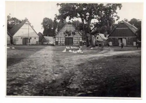 3131 LUCKAU - KÖHLEN, Rundling, Photo 11,5 x 8 cm