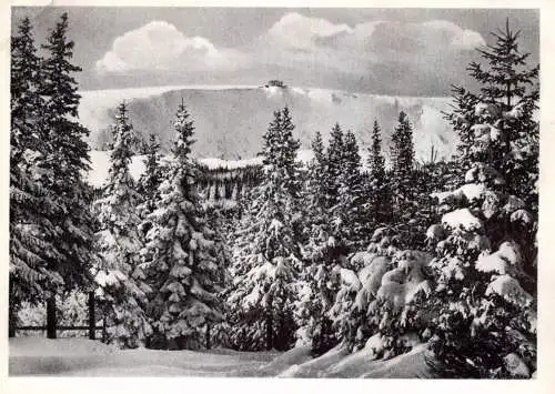 NIEDER - SCHLESIEN - KRUMMHÜBEL / KARPACZ, Blick auf die Prinz Heinrich Baude, Nachkriegskarte