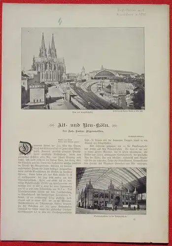 9 Seiten Koeln-Bericht mit Bildern 1895 (1031065)