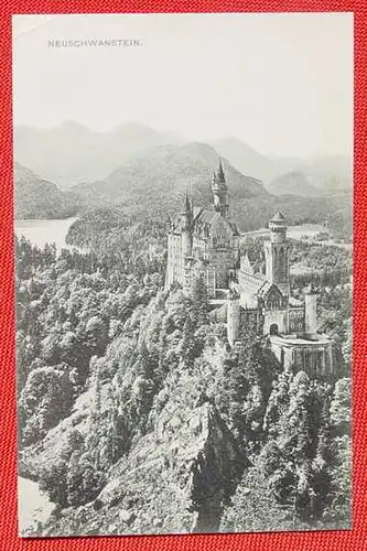 87645 AK Neuschwanstein 1909 (1032631)