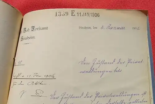 (1039108) Forstamt Sinsheim (Elsenz). Wald Zustandsberichte ab 1849 bis 1939. Grossherzogliches Badisches