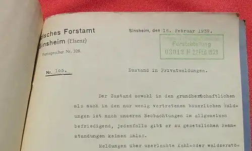 (1039108) Forstamt Sinsheim (Elsenz). Wald Zustandsberichte ab 1849 bis 1939. Grossherzogliches Badisches