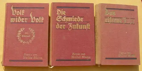 (1010911) 3 Kriegsromane von Walter Bloem. Je Buch ca. 500 Seiten. 1910-13 Grethlein Verlag, Leipzig