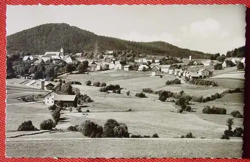 (1045779) Bischofsmais, Bayerischer Wald. Foto-Ansichtskarte. Verlag Feuerpfeil