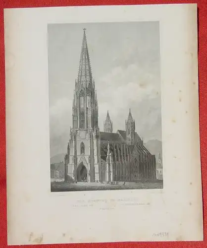 (1009334) "Der Muenster in Freiburg". Alter Stahlstich um 1880. Bildgroesse ca. 10,5 x 15,5 cm