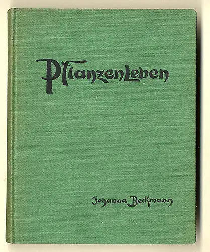 Kunst Handwerk Scherenschnitt Pflanzen Blüten Leben Johanna Beckmann Buch 1931