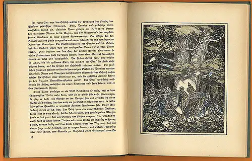 Musäus Märchenbuch 3 Schwestern illustriert von Karl Borschke Wolf Verlag Wien