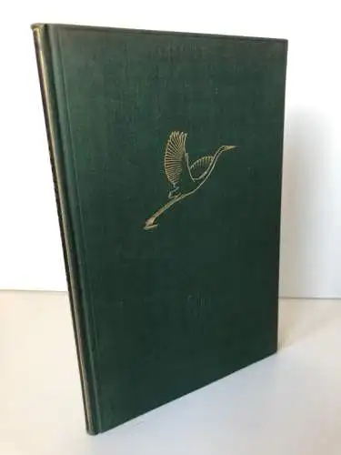 Naturwissenschaft Biologie Physik Vogelflug Technik Aerodynamik Buch 1939