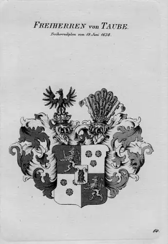 Taube Wappen Adel coat of arms heraldry Heraldik crest Kupferstich