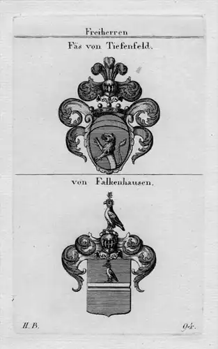 Fäs Tiefenfeld Falkenhausen Wappen Adel coat of arms Heraldik Kupferstich