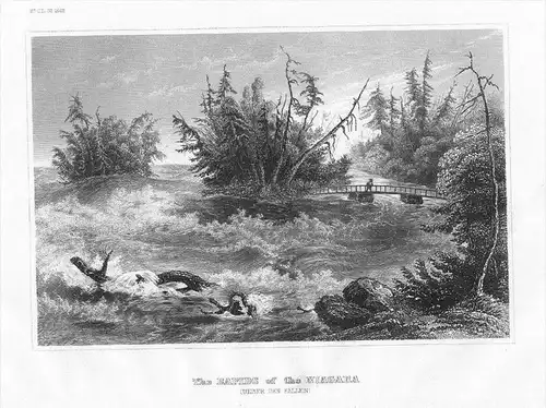 Niagarafälle Niagara falls New York Ontario engraving Original