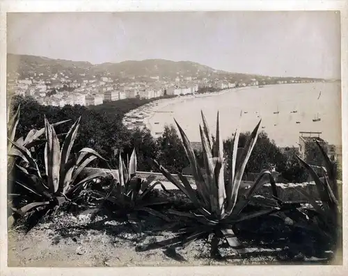 Cannes - Cannes vue general ND Photo Panorama albumen Foto photo vintage