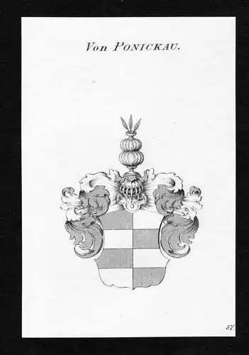 Von Ponickau - Ponickau Ponikau Ponigkau Wappen Adel coat of arms Kupferstich  heraldry Heraldik