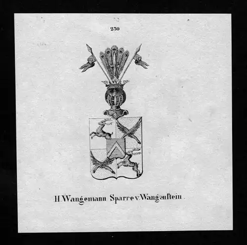 von Wangenstein Wappen Adel coat of arms heraldry Heraldik Lithographie