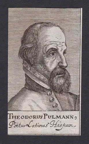 Theodorus Pulmann / Theodor Pulmannus / poet Dichter Antwerpen