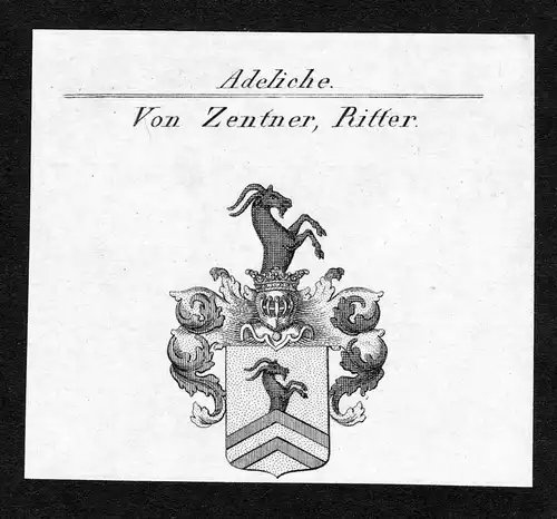 Von Zentner, Ritter - Zentner Wappen Adel coat of arms Kupferstich  heraldry Heraldik