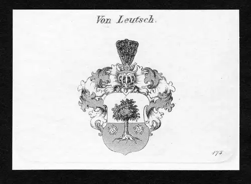 Von Leutsch - Leutsch Luszh Lus Lutzsch Leitzsch Lewtzsch Leuitzsch Leuitsch Wappen Adel coat of arms Kupferst