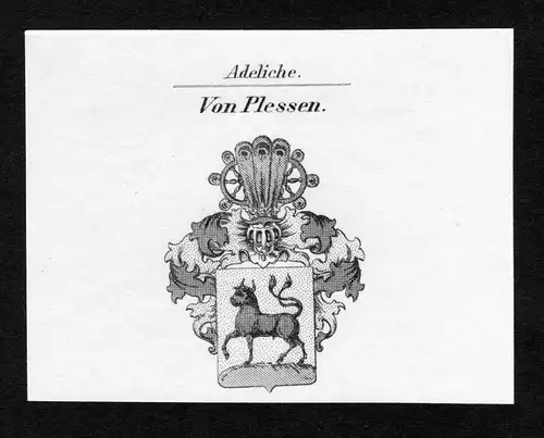 Von Plessen - Plessen Wappen Adel coat of arms Kupferstich  heraldry Heraldik