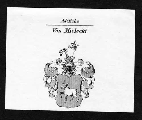 Von Mielecki - Mielecki Wappen Adel coat of arms Kupferstich  heraldry Heraldik