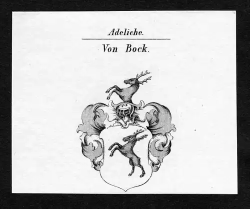 Von Bock - Bock Wappen Adel coat of arms Kupferstich  heraldry Heraldik