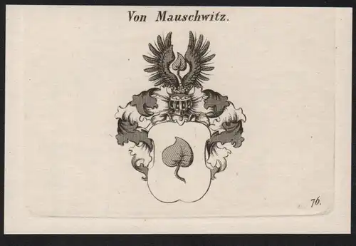 Von Mauschwitz Wappen coat of arms Heraldik Kupferstich antique print