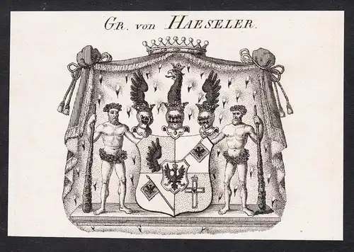 Gr. von Haeseler - Wappen coat of arms