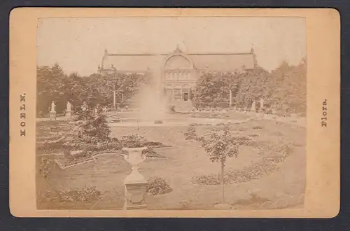 Koeln. Flora. - Foto Photo Fotografie photograph CDV