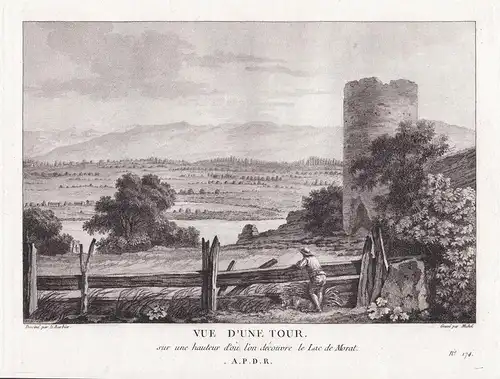  Vue d'une Tour sur une hauteur d'ou l'on découvre le Lac de Morat - Murtensee Ruine Burg See gravure Kupferst