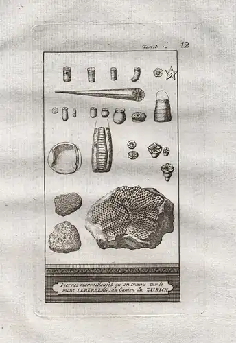 Pierres merveileuses qu'on trove sur le mont Leberberg ... - Leberberg Lebern Kanton Solothurn Geologie Steine