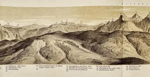 Rundschau auf den Kitzbichler Horn - Kitzbühel Kitzbüheler Horn Alpen Tirol Alpinistik / Österreich / Panorama