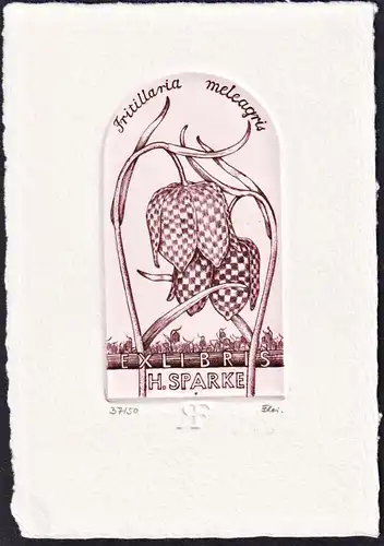 Ex Libris H. Sparke - Schachblume Lilie lily Exlibris ex-libris Ex Libris bookplate