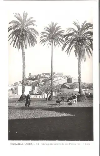 Ibiza - Vista parcial desde las Palmeras v.1955 (AK5000)