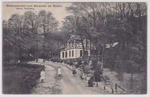 903212 Ak Waldrestaurant zum Waldkater bei Rinteln 1913