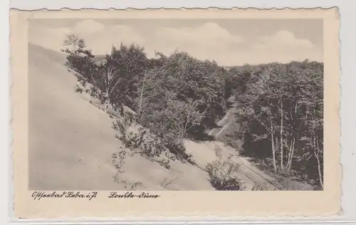 12063 Ak Ostseebad Leba Łeba in Pommern Lonzke Düne um 1925