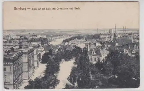 14304 Ak Bernburg Blick auf die Stadt mit Gymnasium und Saale 1925