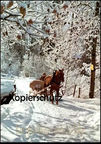 ÄLTERE POSTKARTE EIN GLÜCKLICHES NEUES JAHR PFERDESCHLITTEN PFERD SCHLITTEN horse cheval luge sleigh Blesse AK cpa