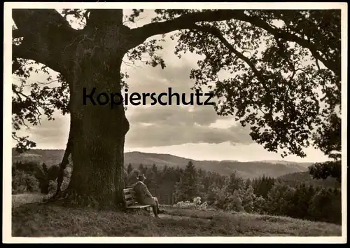 ALTE POSTKARTE MANN AUF BANK BAUM EICHE VERLAG METZ STEMPEL TÜBINGEN TREE ARBRE oak chene cpa postcard AK Ansichtskarte