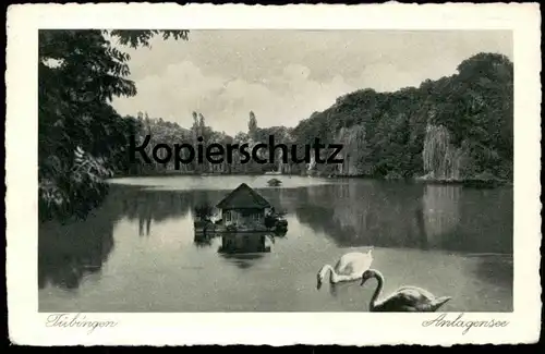 ALTE POSTKARTE TÜBINGEN 1927 ANLAGENSEE SEE ANLAGEN PARK Schwan Schwäne swan cygne cygnes swans postcard Ansichtskarte